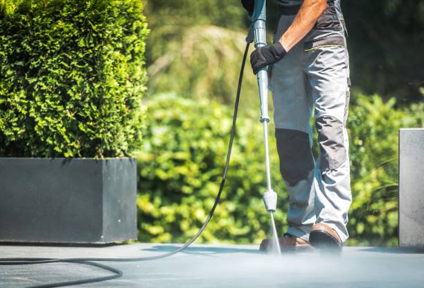 Best Fleet Vehicle Washing  in Forest Oaks, NC